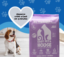 Pó Higiênico Eliminador de Odores Easy Pet & House 1 Kg